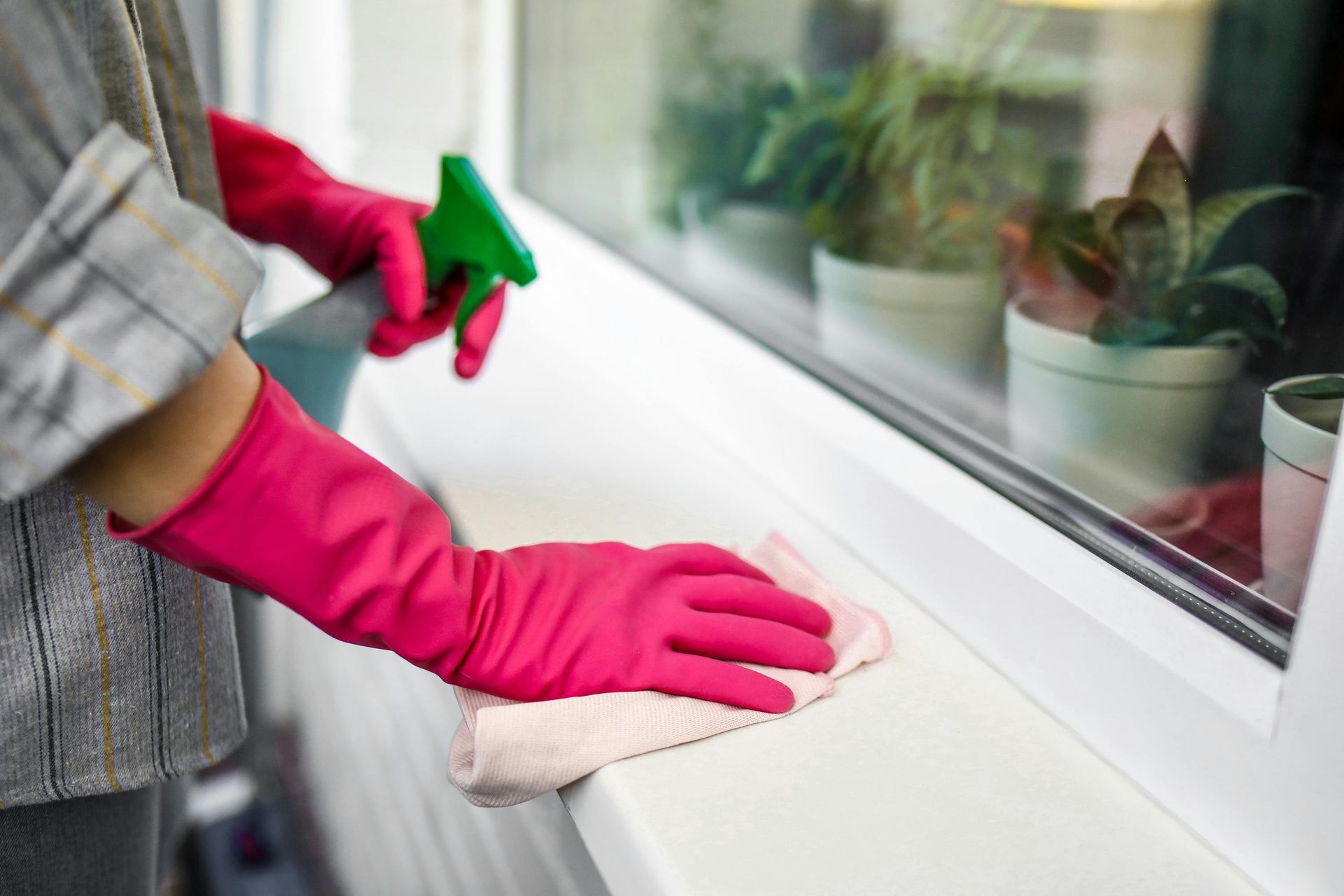 Person in pink gloves wiping a windowsill with a cloth beside a window with potted plants.